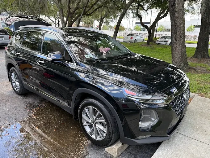 Glossy black SUV photographed outdoors after detailing